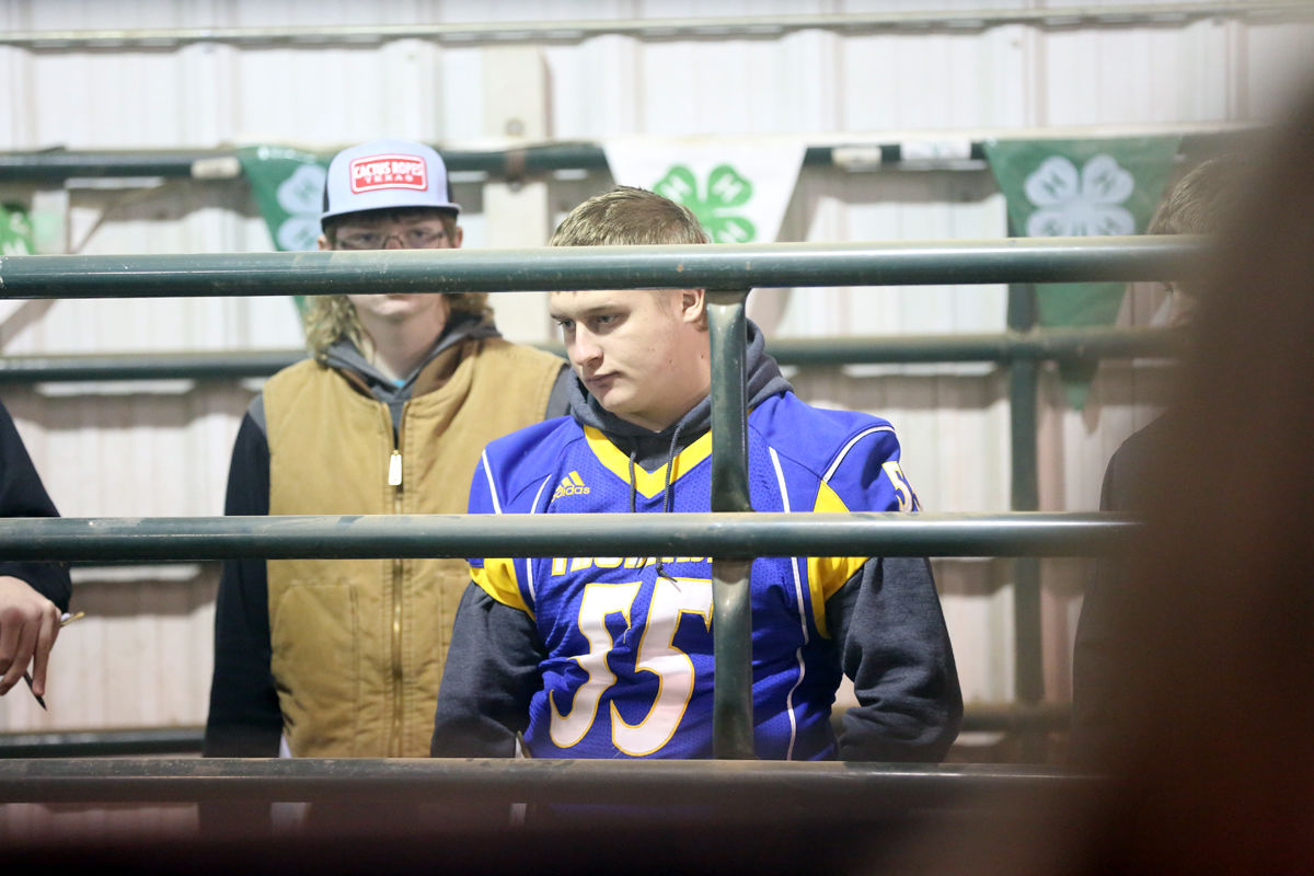 FFA Livestock Judging (9).JPG